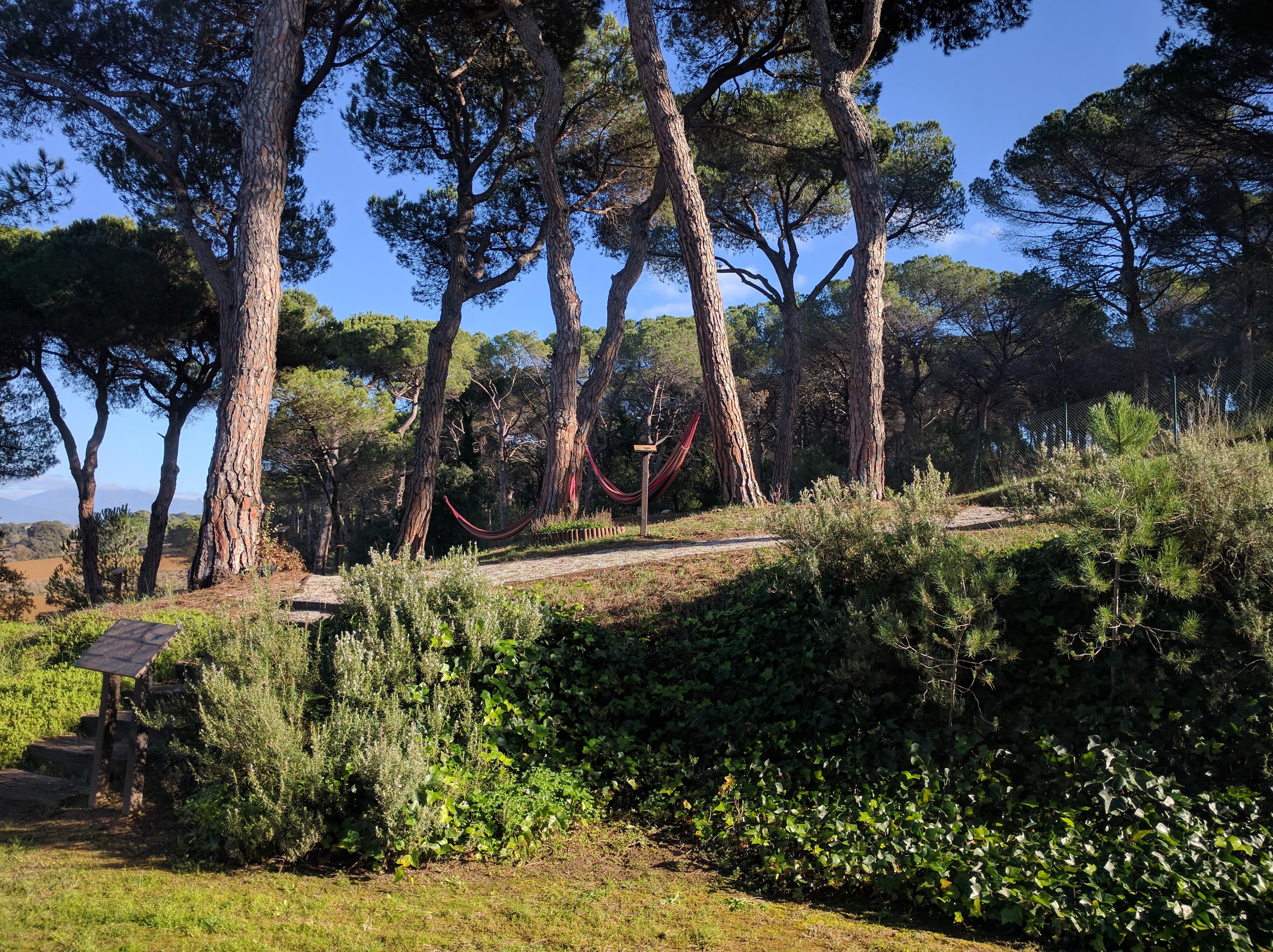 Augusta Barcelona Valles Granollers Luaran gambar